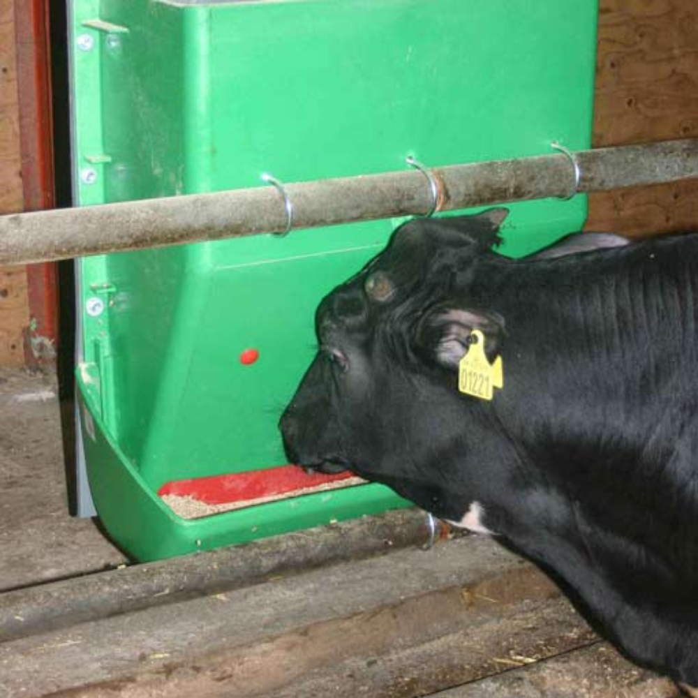 Automātiskā barotava teļiem, 2 vietas, 100 litri